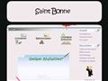 Artiste communication Internet Saint Bonnet Web