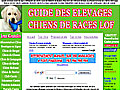 Chiot de race, elevage chien